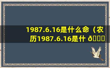 1987.6.16是什么命（农历1987.6.16是什 🐅 么星座）